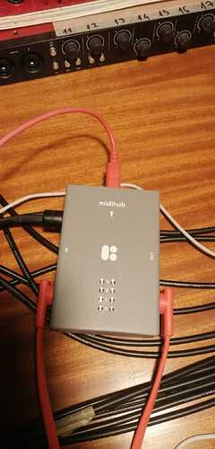 WhatsApp Image 2026-02-12 at 20.24.02